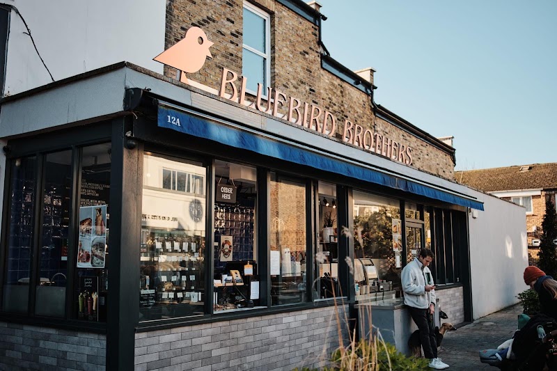 Bluebird Brothers